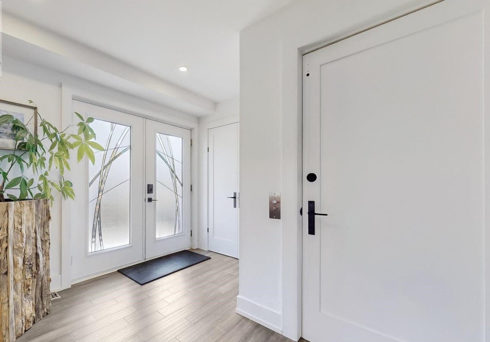 The front entry, with a live-edge wood slab holding a plant beside the double doors and the private elevator door to the right