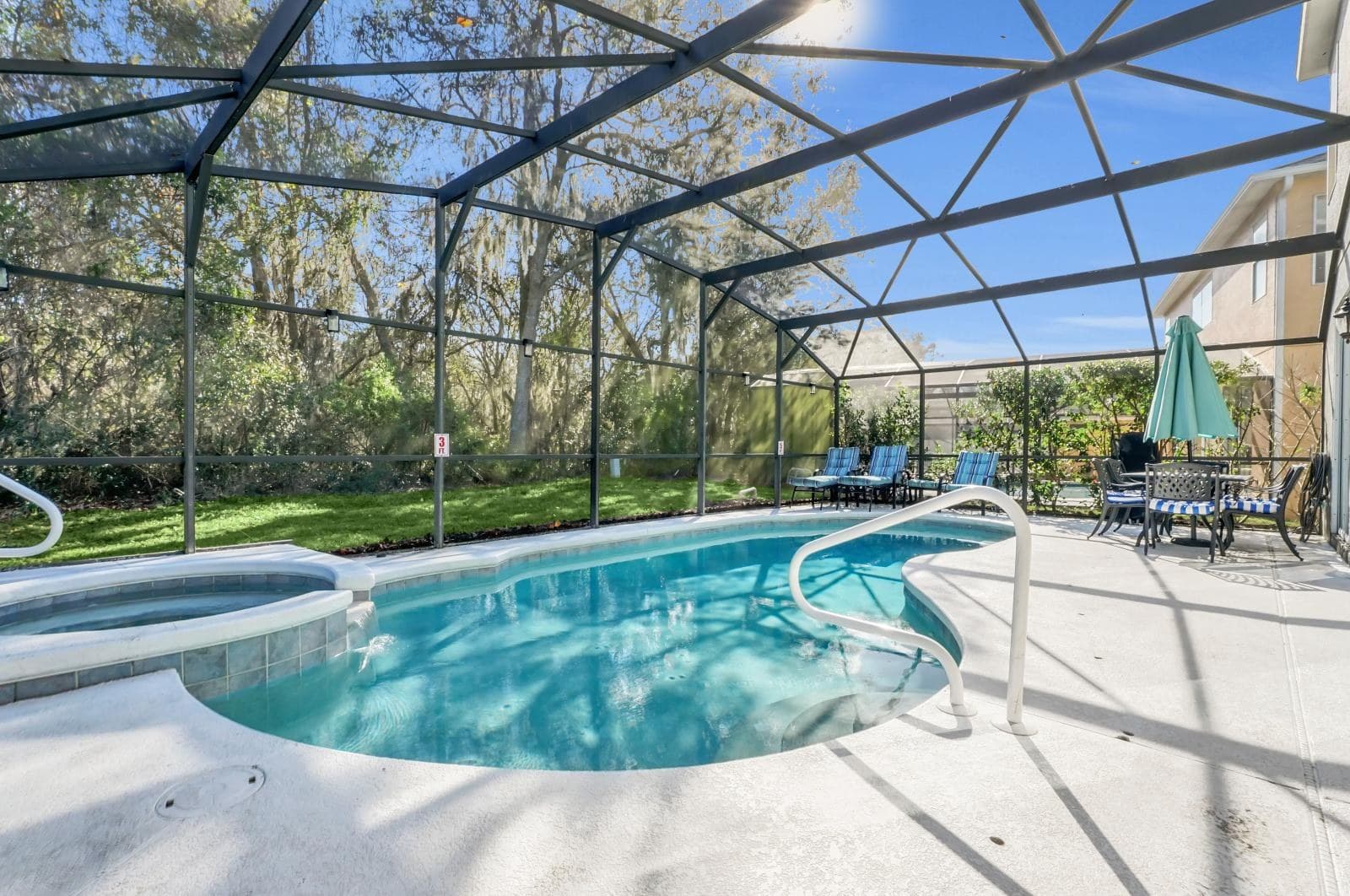 The pool and spa from the far end, with mature moss-hung trees on the conservation land immediately behind the screen